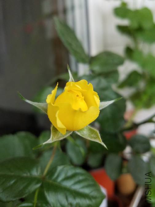 100915o0x575tzp959aq3z.jpg