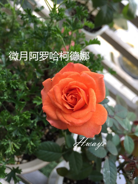�µ���.jpg