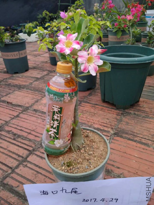 QQͼƬ20170429130235.jpg