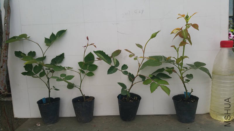 20170428_102044.jpg