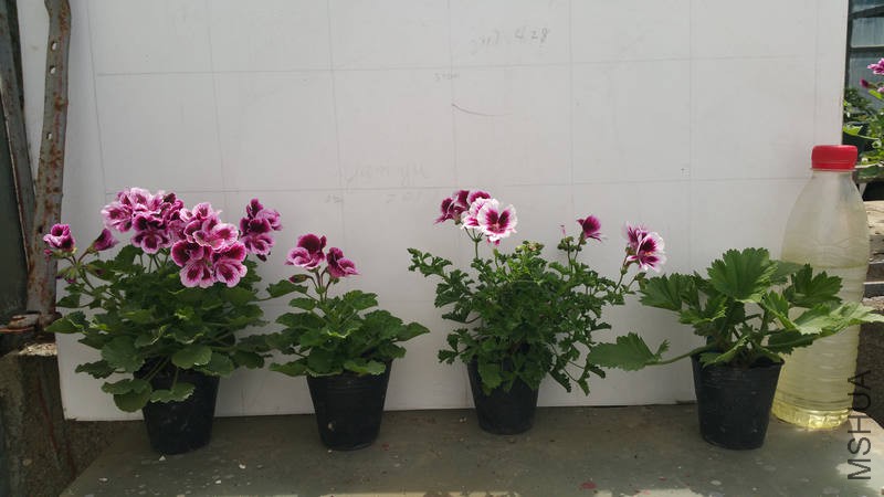 20170428_104230.jpg