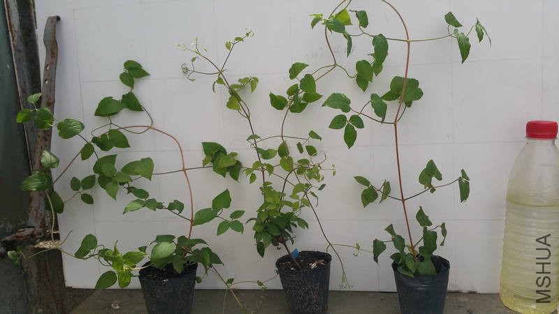 20170428_103835.jpg