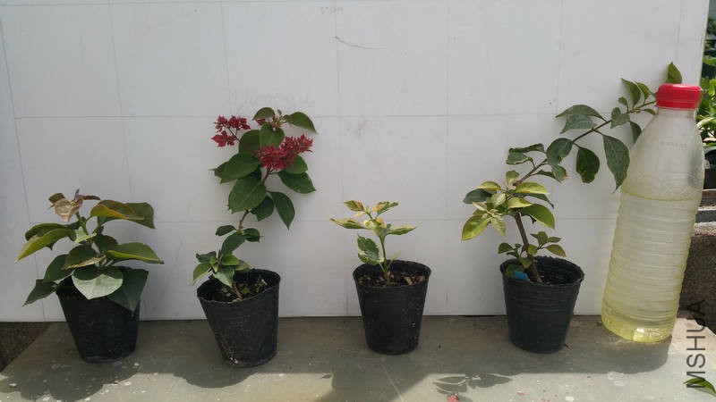20170428_110329.jpg