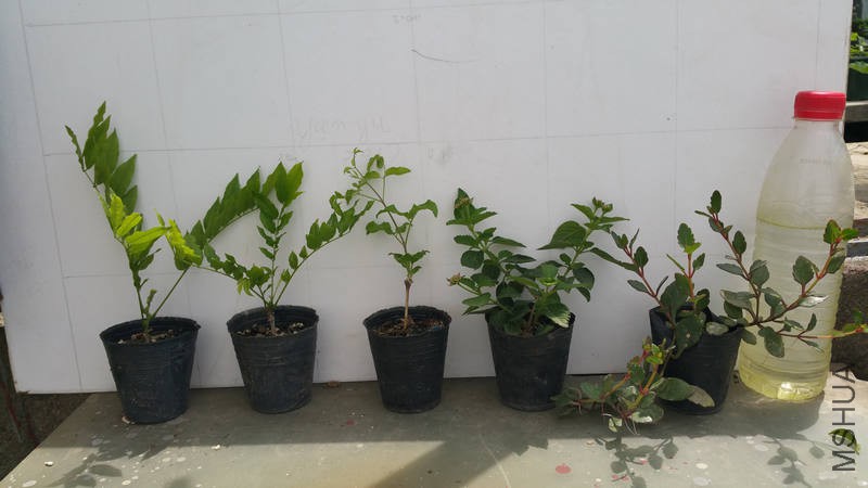 20170428_110455.jpg