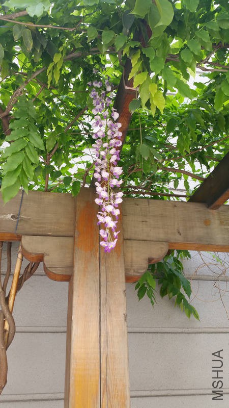 20170419_104944.jpg
