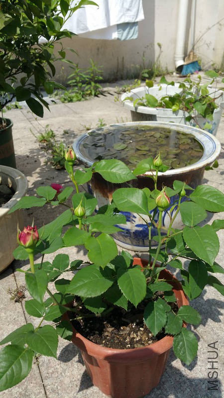 20170428_133622.jpg