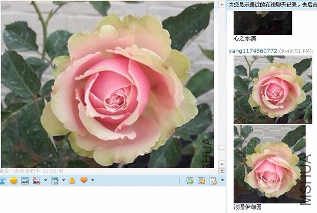 ΢�ͷỨ�¼� ��������.jpg