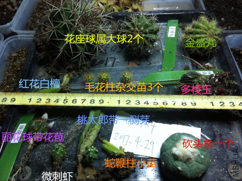 QQͼƬ20170429215520.jpg