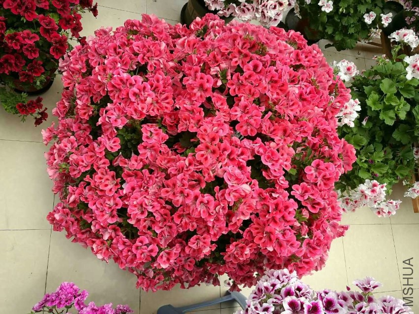 ����--ֱ��һ��