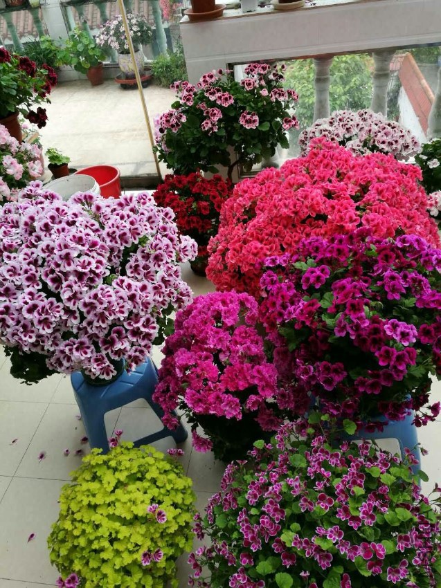 С������