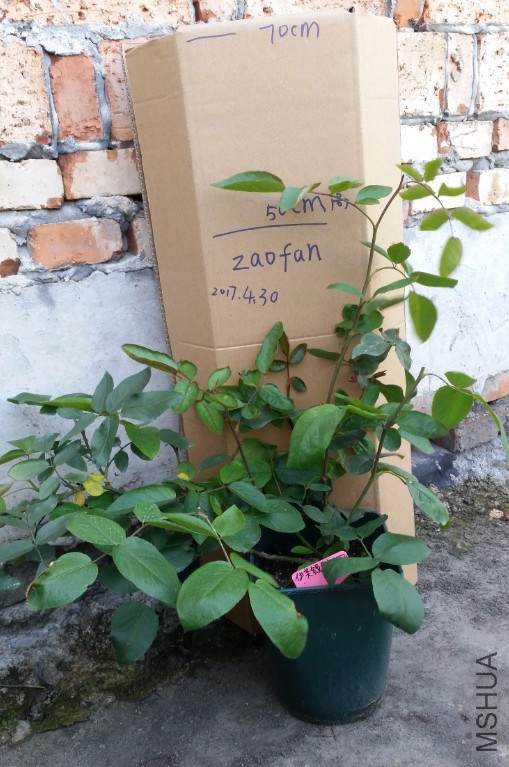 Ǯ��---��