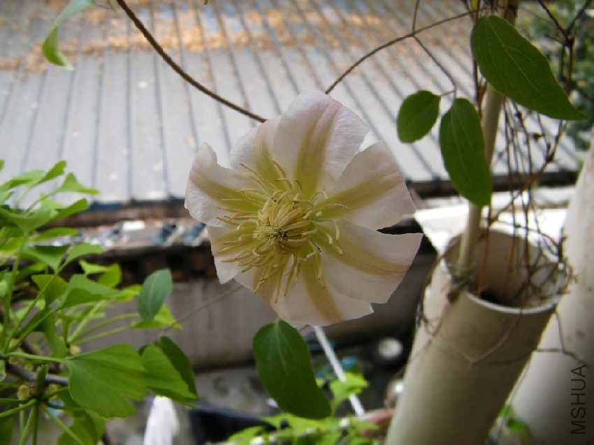 20170426 013.jpg