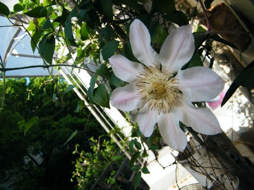 20170426 016.jpg