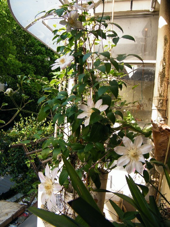 20170426 015.jpg