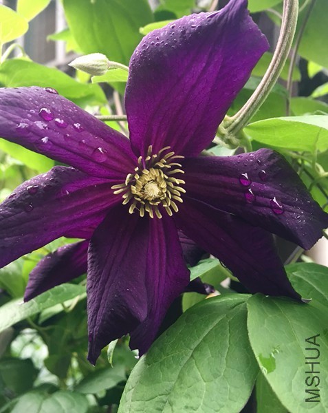 �����ٿ�