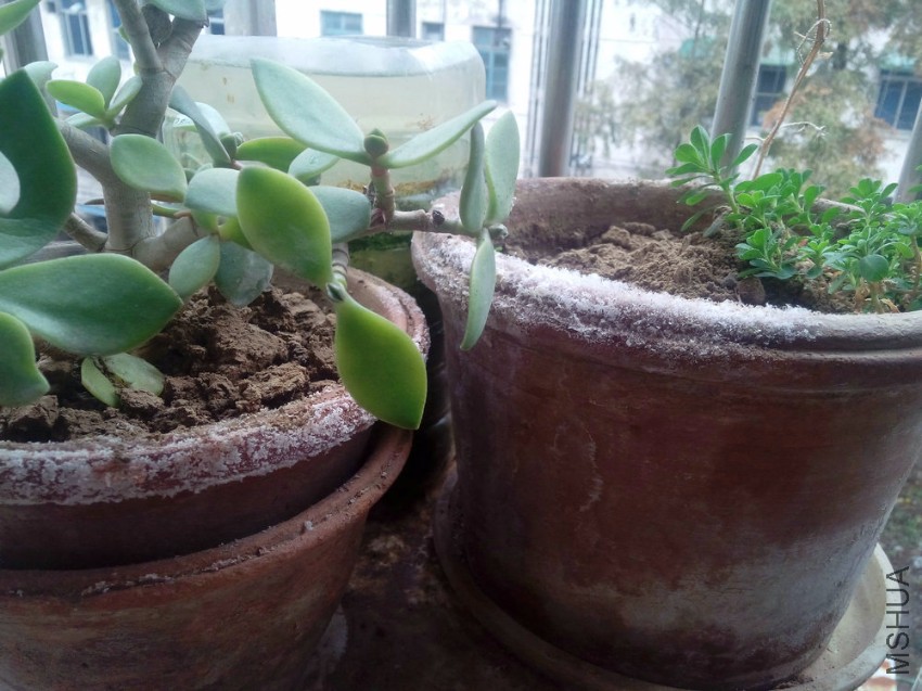 �����˪-20141125_121503.jpg