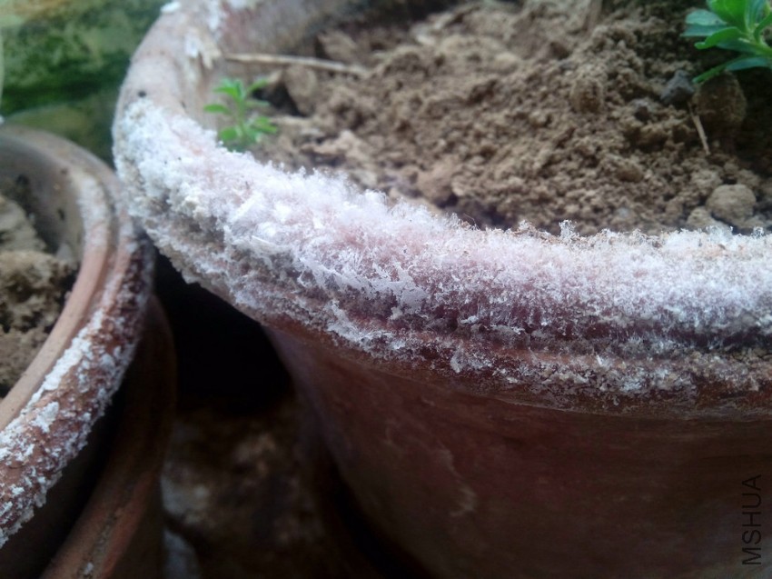 �����˪-20141125_121511.jpg