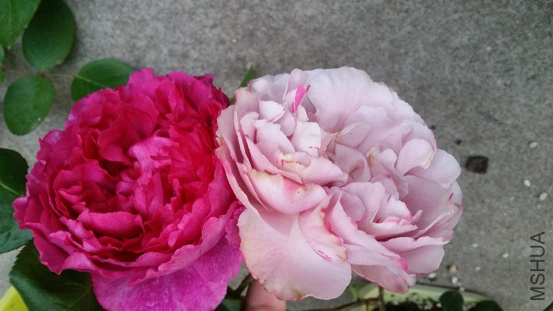 20170430_182549.jpg