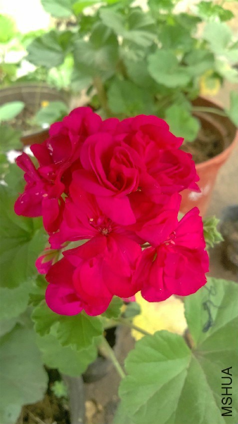 115541o9r5zdweir22frsd.jpg