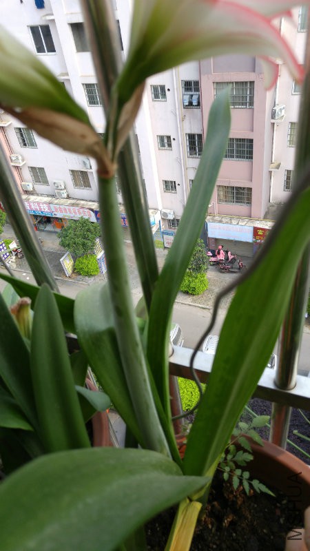 20170501_164312.jpg