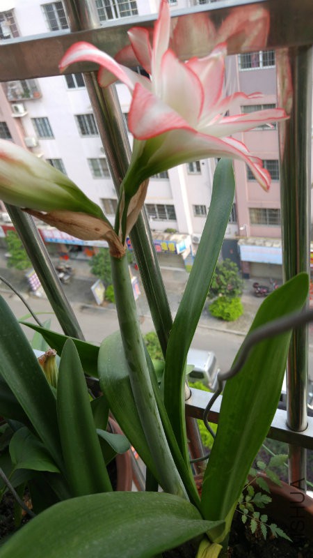 20170501_164323.jpg