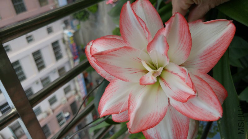 20170501_164334.jpg