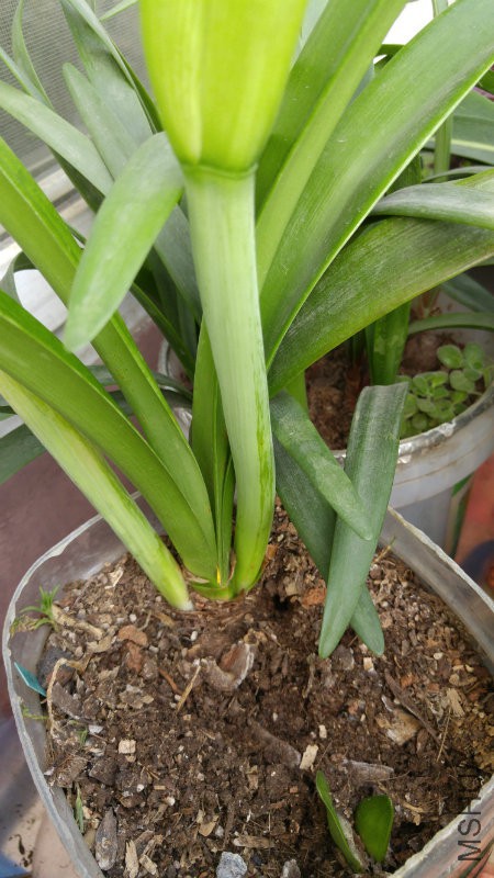 20170501_164237.jpg