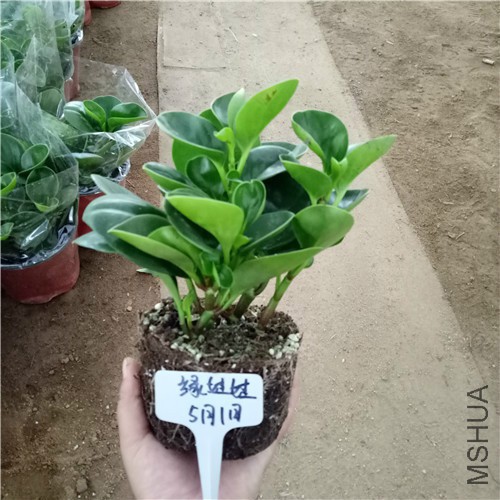 IMG20170501173504_����.jpg