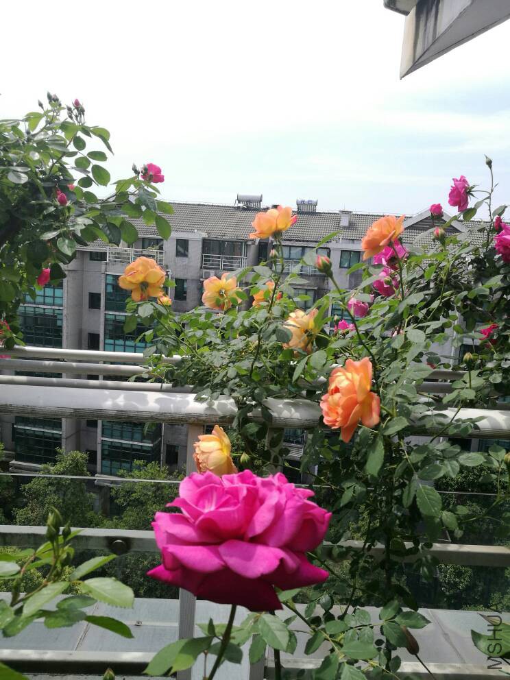 212508exm2xis76xp4q74p.jpg