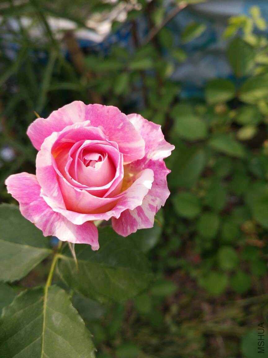214053fon7d99ng3gdgxd9.jpg