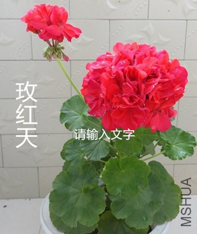 230223bcd9szqc9qlqdydy.jpg