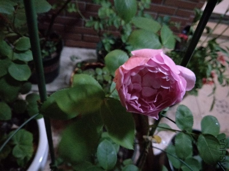 IMG20170501211912.jpg