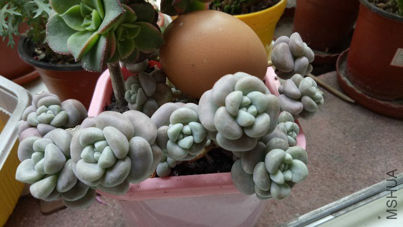 IMG20170501174915.jpg
