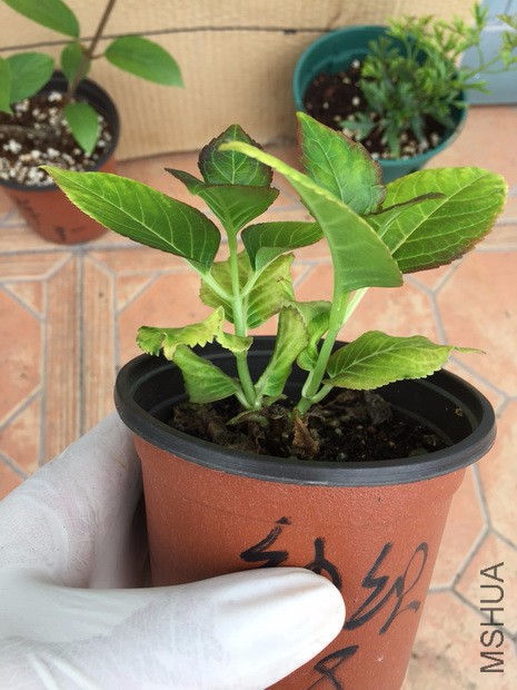 2017-05-01 141647.jpg