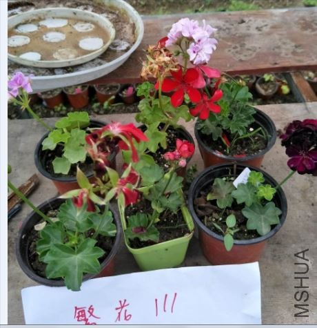 �����飺����ϵ��