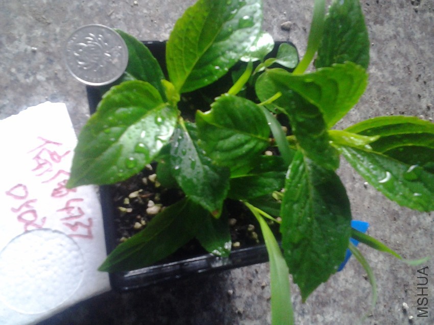 20170502_074514.jpg