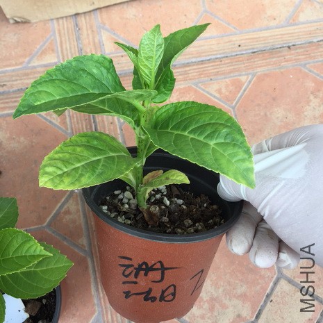 2017-05-01 140955.jpg
