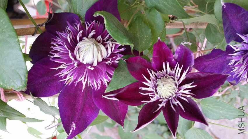 20170501_181306.jpg