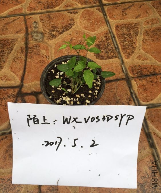 �����ǩ