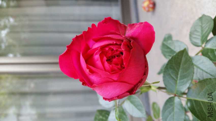 20170428_081839.jpg