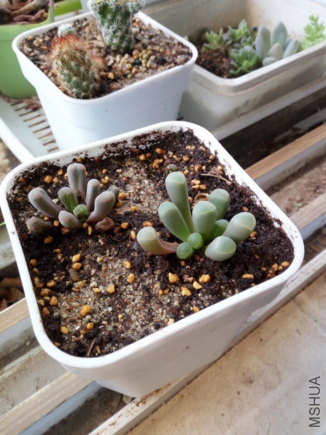 QQͼƬ20170502132916.jpg