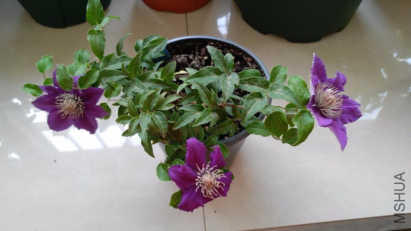 20170430_3.jpg
