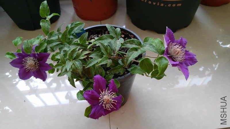 20170430_4.jpg