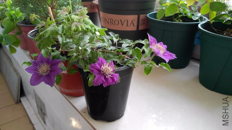 20170430_7.jpg