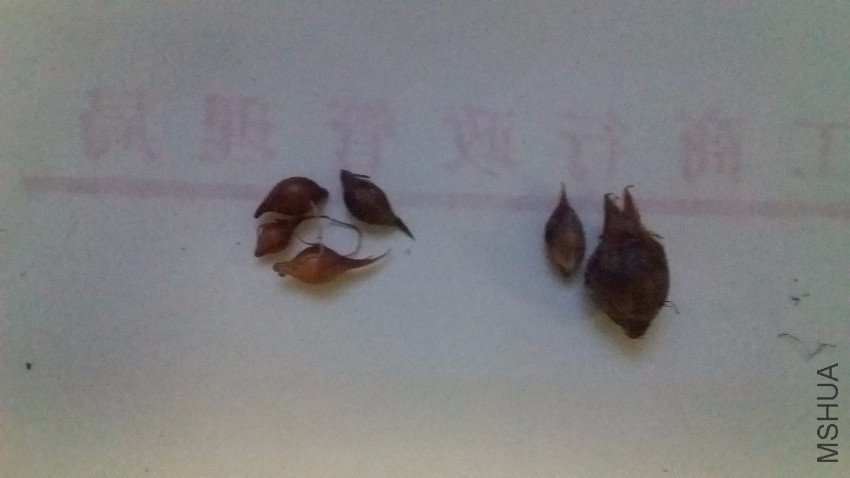 20170502_184359.jpg