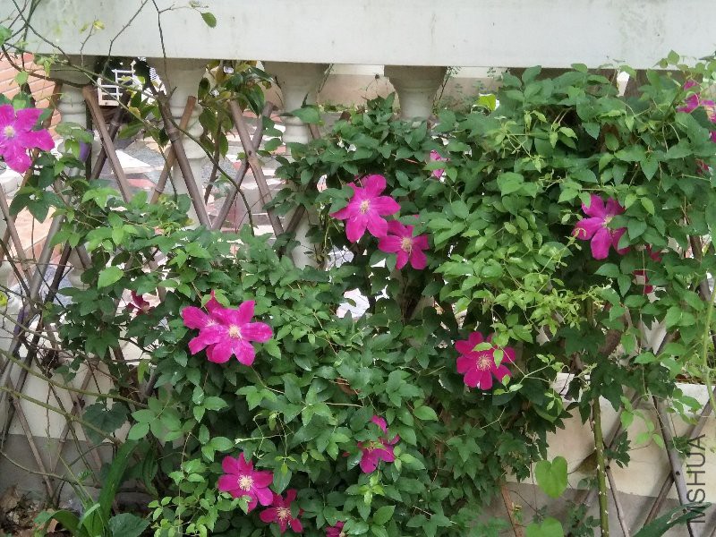 IMG20170502153655.jpg
