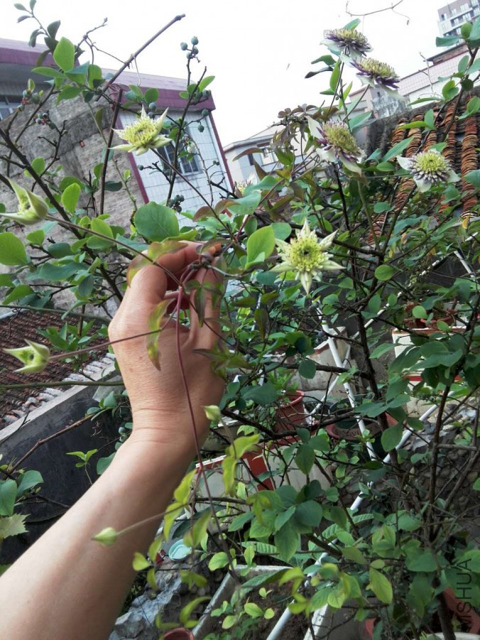 ΢��ͼƬ_20170503085137.jpg