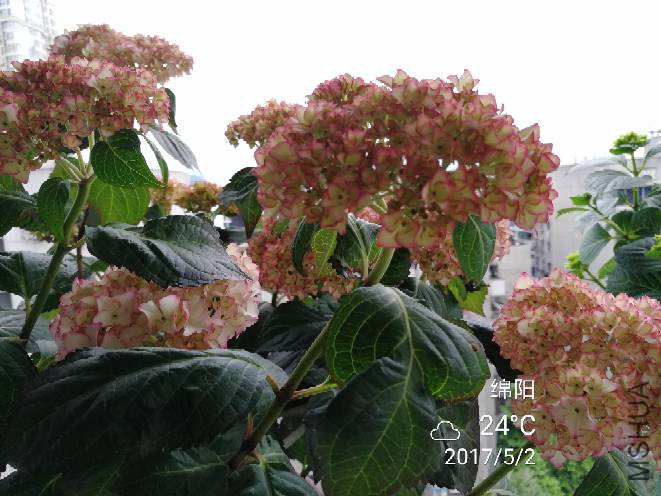 092418f9a492sl964appsb.jpg