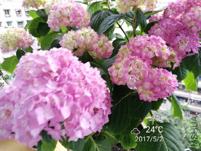 092418y04r8rrlw404slih.jpg