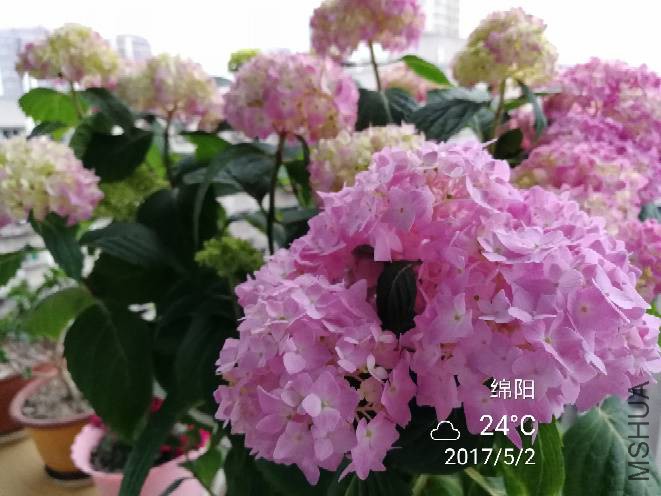 092418zzkuybyqqyqbkbjk.jpg